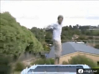 Trampoline-dog-insult-injury.gif