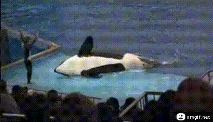 bump.gif