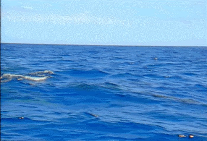 tumblr_o5pf75oYBB1t0gs1do1_400.gif