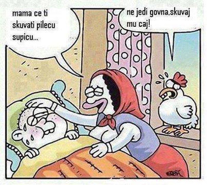 Kokoš se bori za goli život