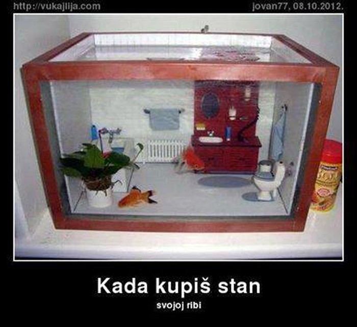 clip_image007.jpg