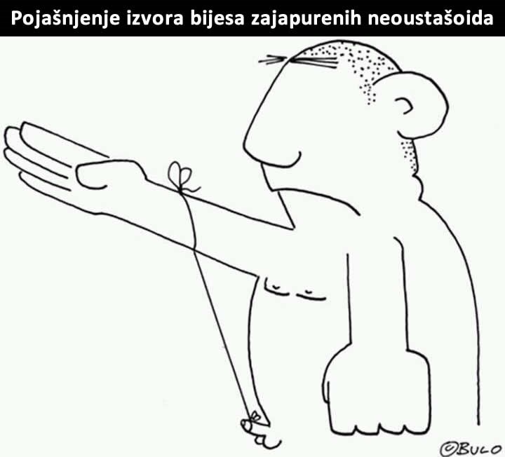 KOJA IRONIJA: Ustaše, a ne diže im se