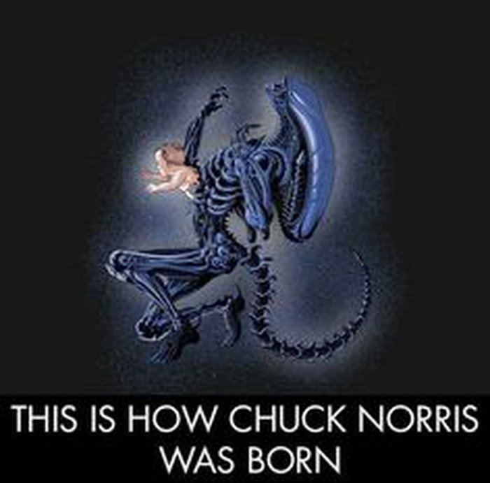 c0d11a2b59a5614181ca22854d80ae09.jpg