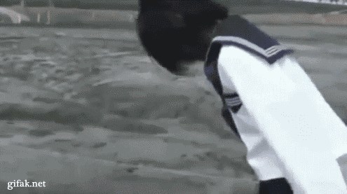 see-you-next-fall-20-gifs-25.gif