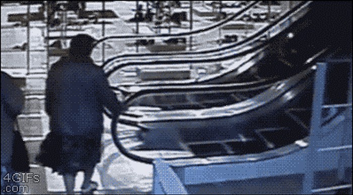 giphy.gif