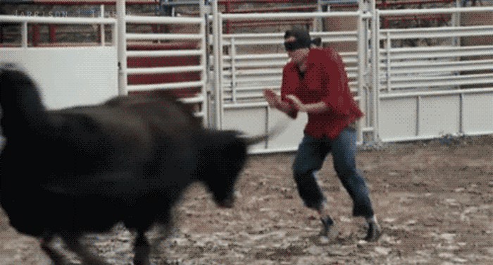 things-still-bounce-on-friday-17-photos-17.gif