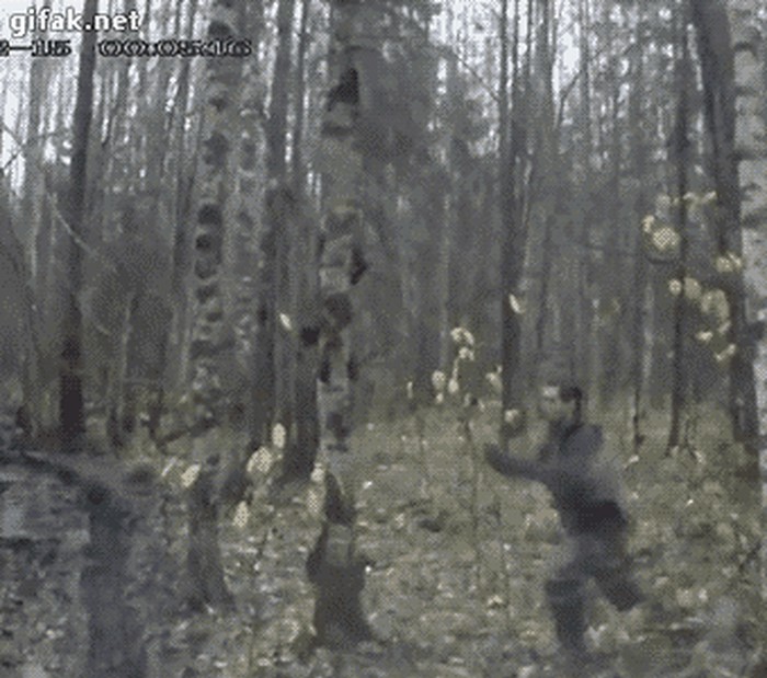 tumblr_o79y7hJWPT1ukldkho1_400.gif