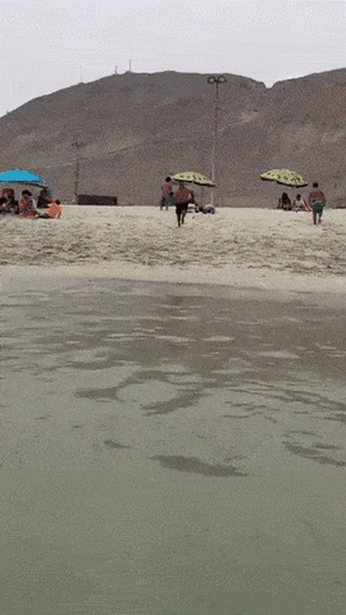 4482bbf4a121ce5a6a57882fd8061599.gif