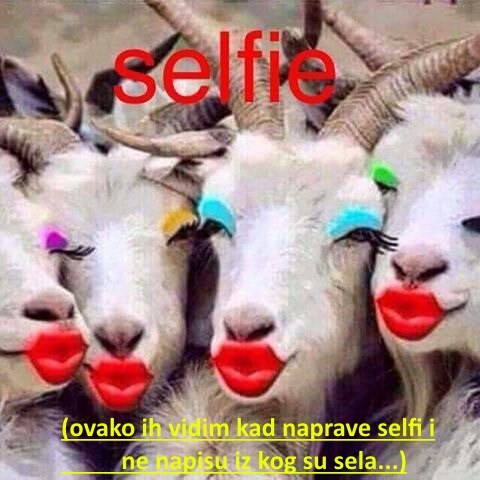 ljubav_je_na_selu___