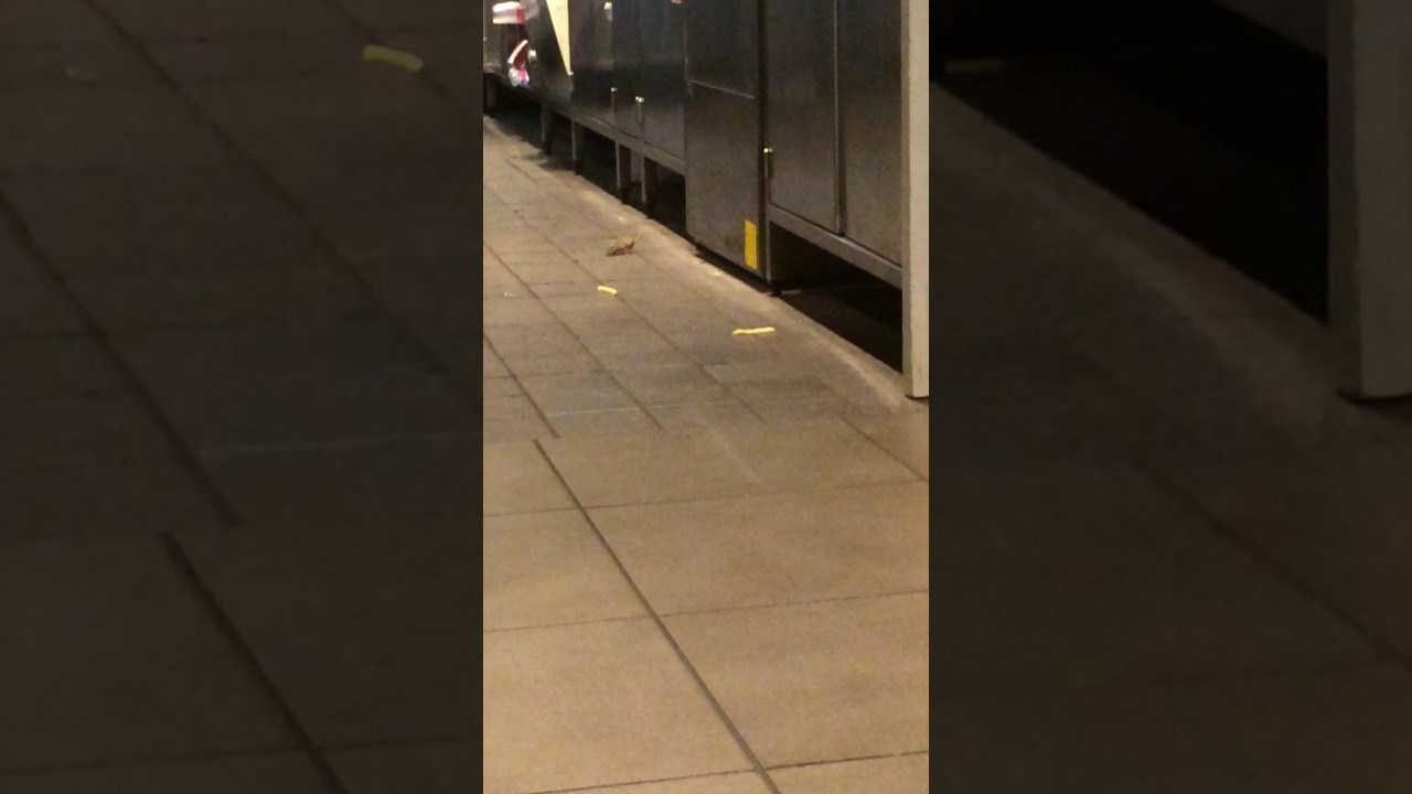 VIDEO Kada ovo vidite, razmislit ćete dvaput o idućem odlasku u McDonald's!