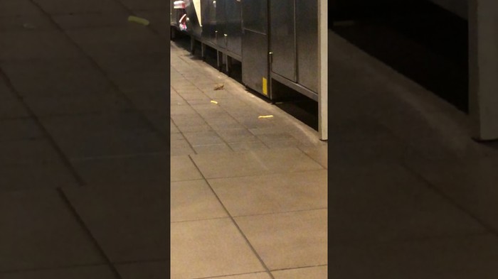 VIDEO Kada ovo vidite, razmislit ćete dvaput o idućem odlasku u McDonald's!