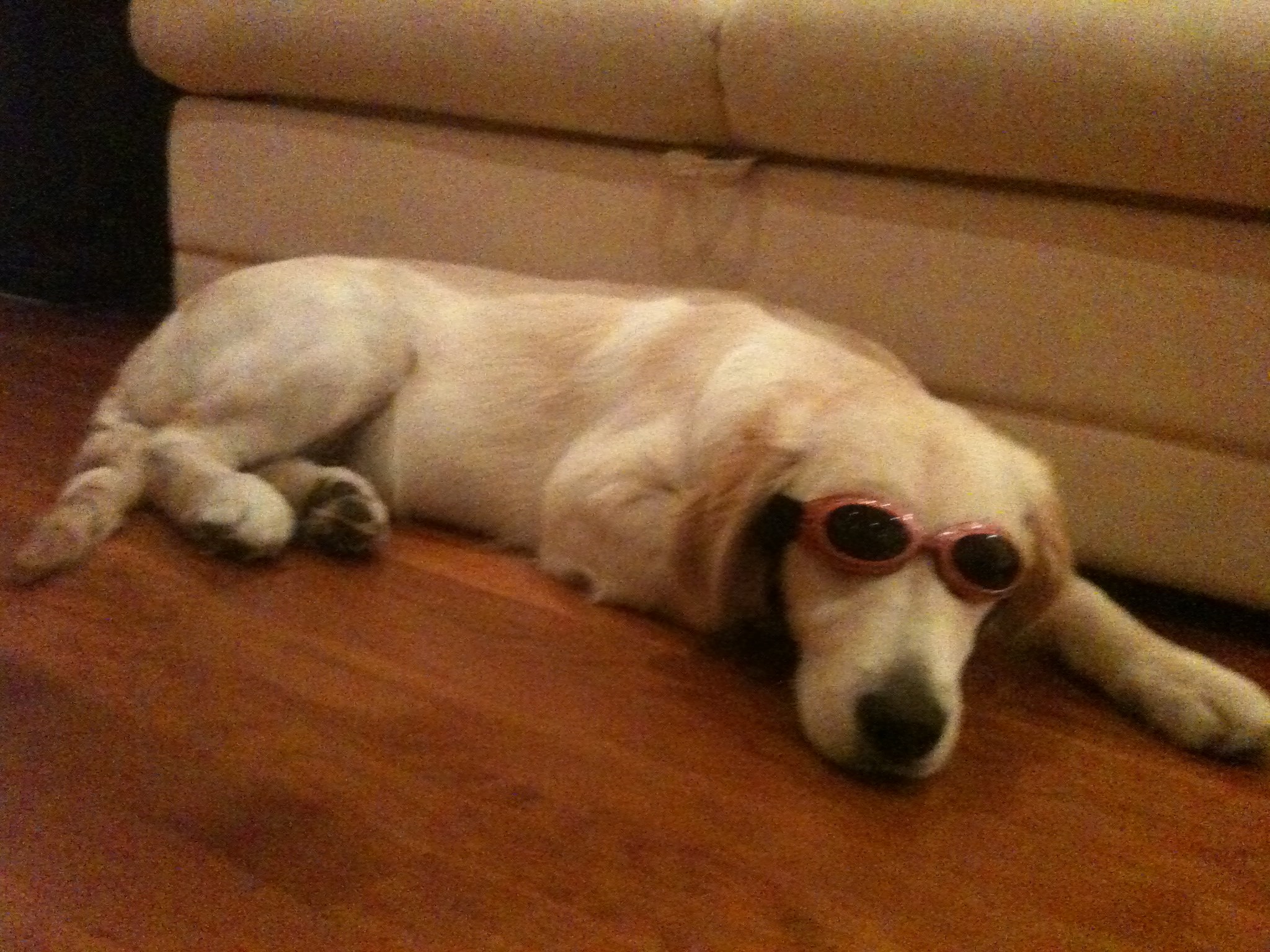 Tango spreman za sunce