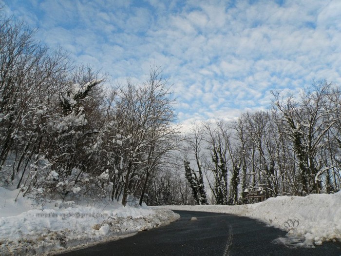 Medvednica