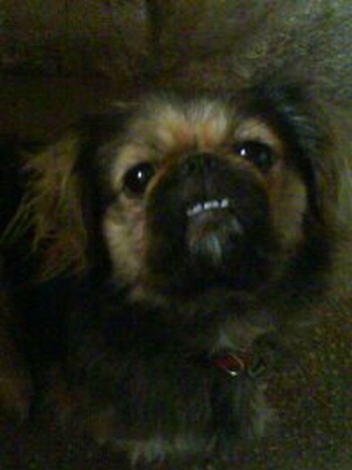 SMILE!!;))