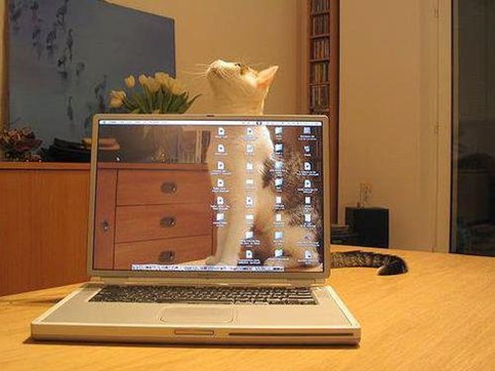 LapTop 3D???? haha