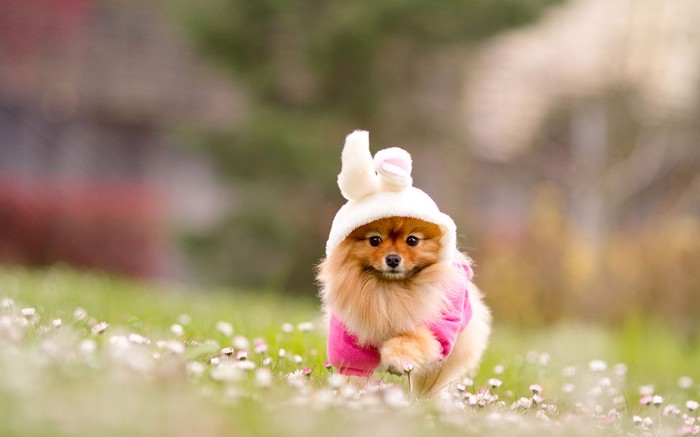 I'm sweet and i know it