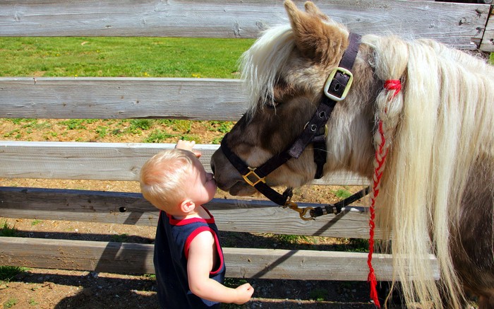 Pony kissss!