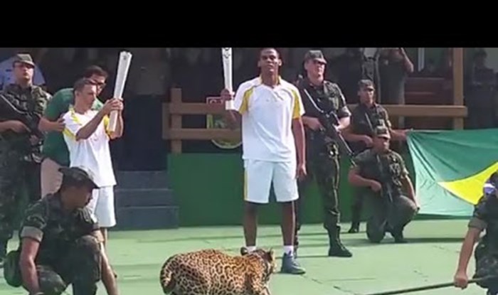 U Brazilu ubijena još jedna ZOO životinja, jaguarica Juma