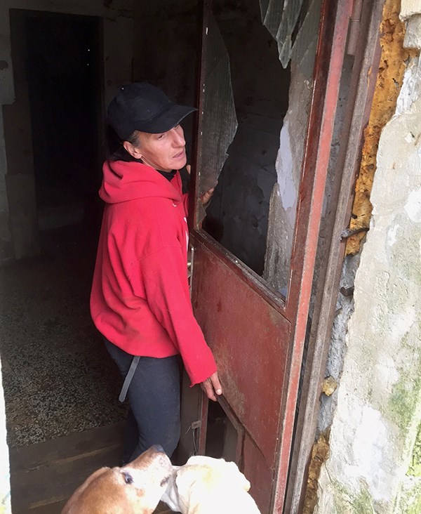 From URGENT to TRAGIC – winter storm strikes Dubrovnik dog shelter.