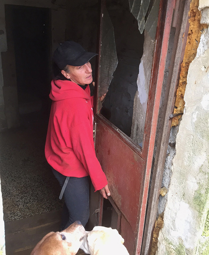 From URGENT to TRAGIC – winter storm strikes Dubrovnik dog shelter.