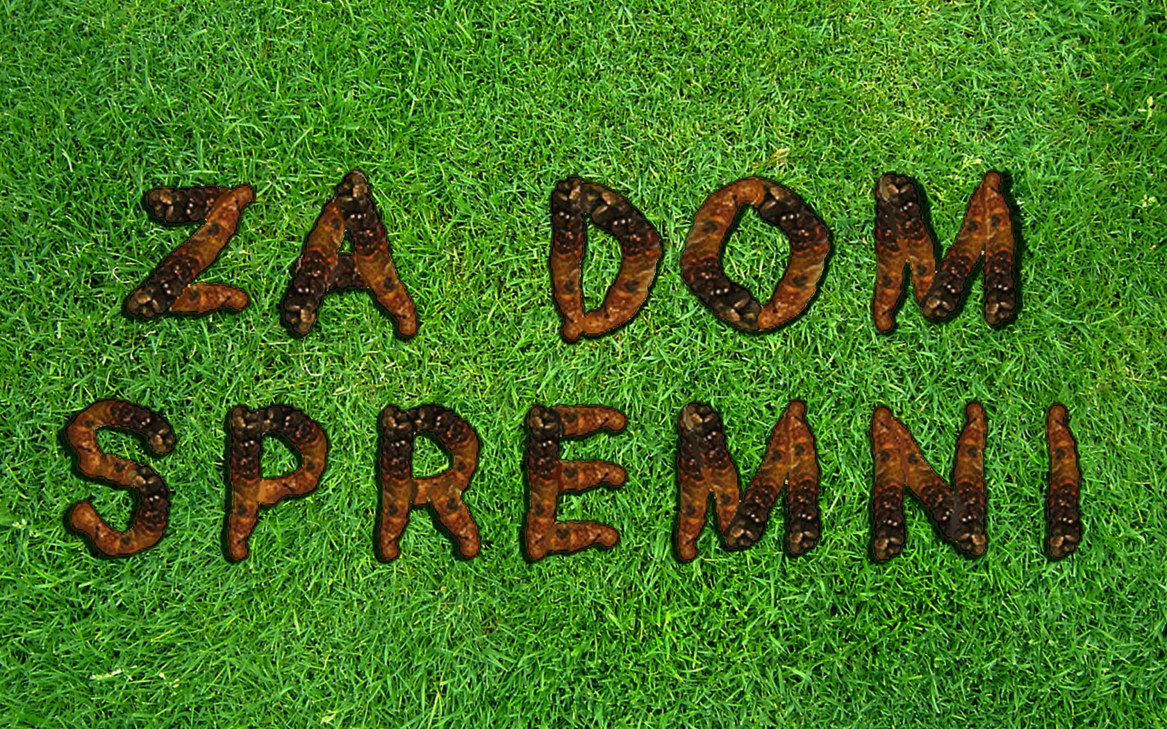 Jedite govna ustaše!.jpg