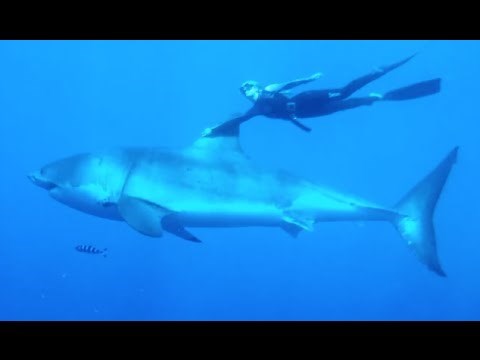 MAN AND BEAST - Part 47