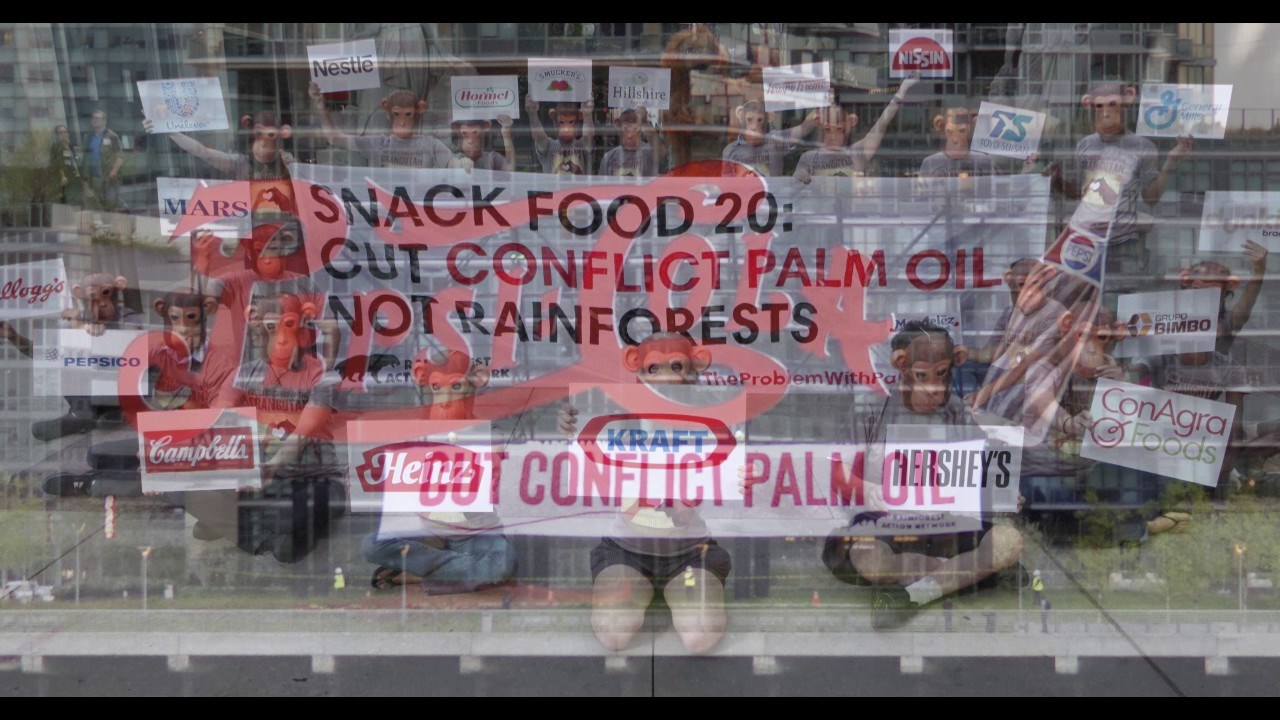 ZOO je užas! Jest, ali što tek činimo sa staništima životinja. Užas užasa!!!