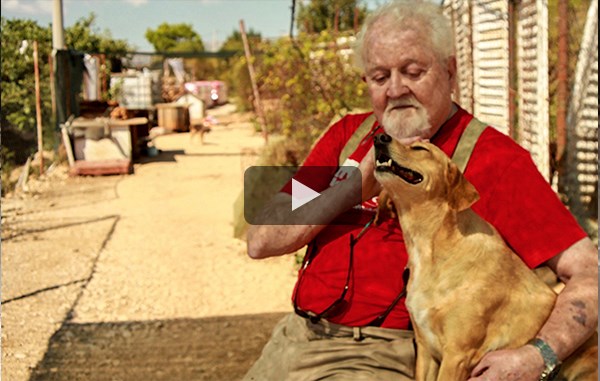 URGENT UPDATE! Croatian dogs need you NOW!