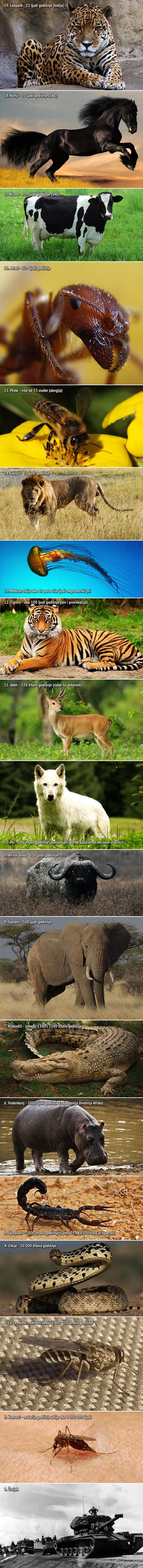 Galerija: Najveći ubojice ljudi