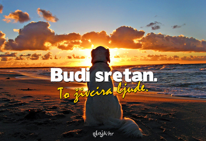 Dišpet!