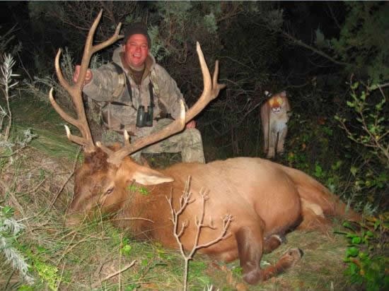 Pogodi tko će za sekundu spašavati goli život 