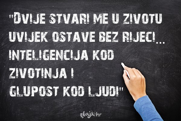 Koje vas više čudi?