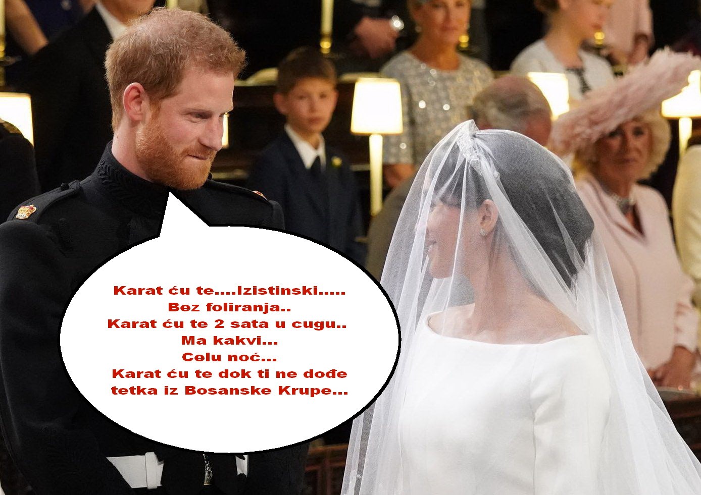 Harry i Meghan u raljama života.jpg