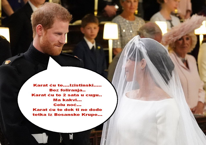 Harry i Meghan u raljama života.jpg