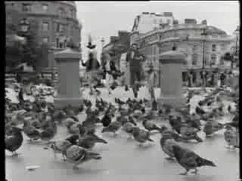 Twenty 4 seven - Are you dreaming