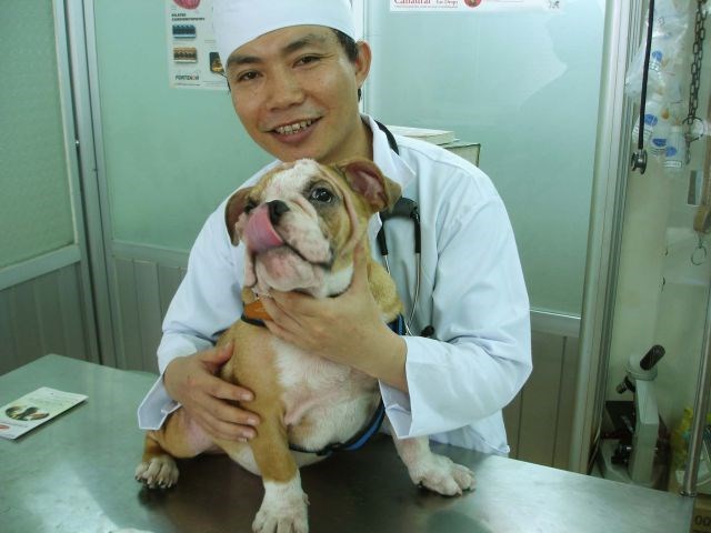 Ovom psu se baš sviđa kod veterinara