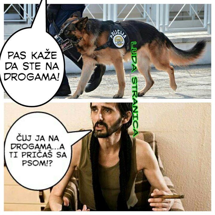 bolje droga nego glavaševa garda