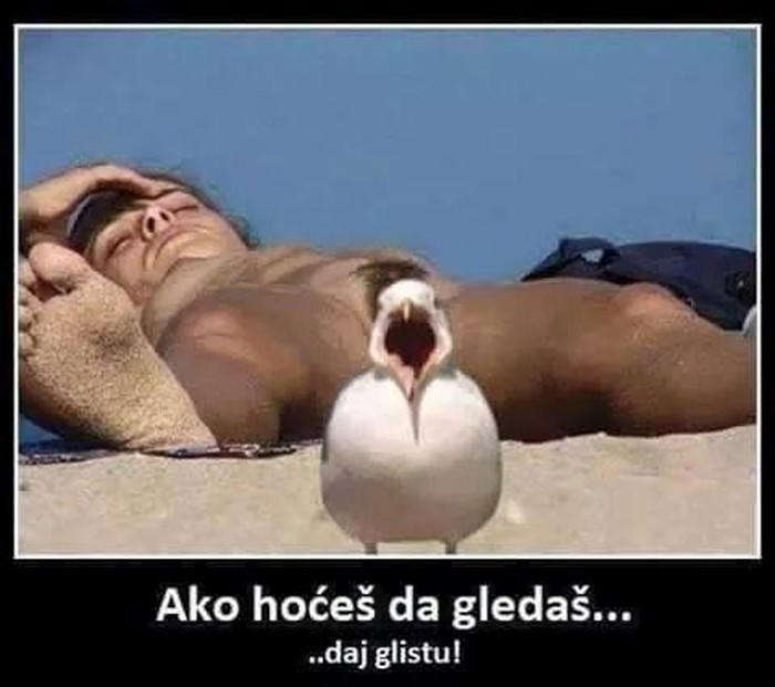 Ptica