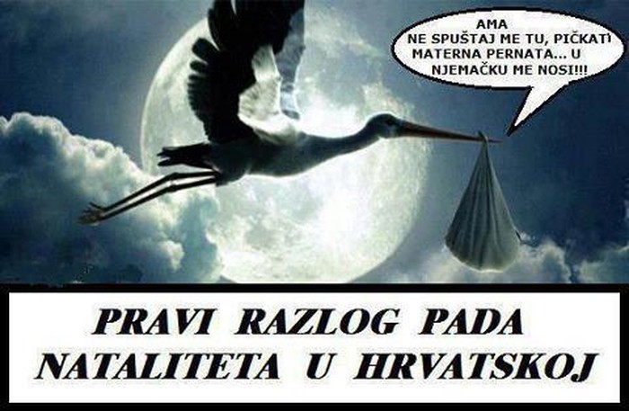 pad nataliteta.jpg