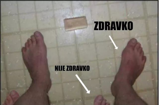 Zdravko