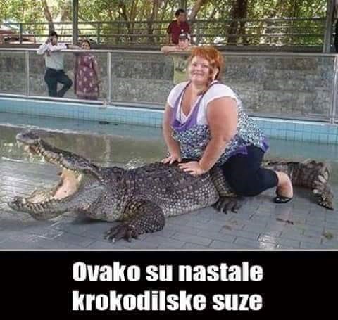 Krokodilske suze.jpg