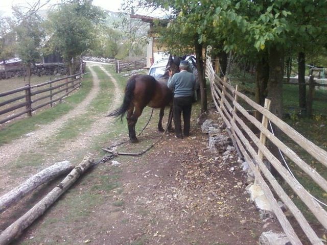 lipovo polje -kosinj