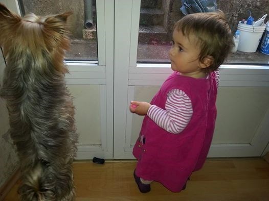 Opet ta dosadna kiša, a mi bi van!