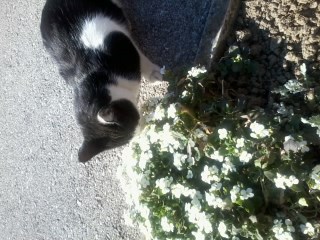 2014-03-20 09.32.41.jpg