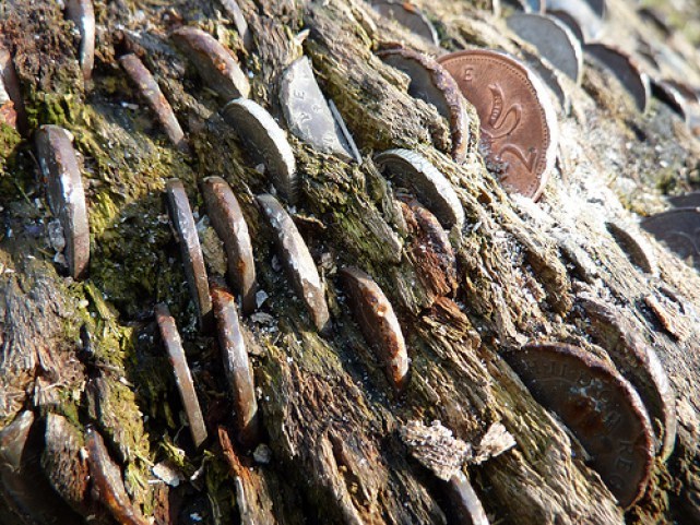 Novac ne raste na drveću zar da? - 