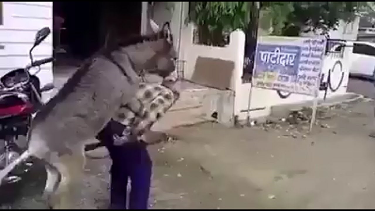 Pametano, uzjasi i ti njega pa nek vidi kako je  :D