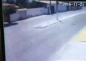 e kad nemaš sreće.gif