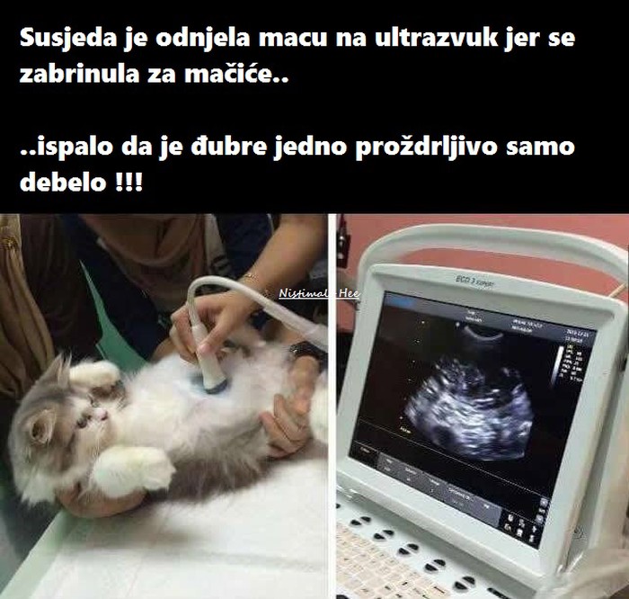 trudnoća