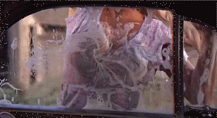 temeljno pranje auta.gif