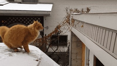 voziš a nemaš zimsku opremu.gif